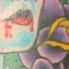 Purple Roses For Blue Lady