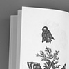 Featured Illustrations in YETI NINE