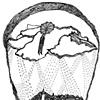"Die Geschichte vom fliegenden Robert"
(The Story of Flying Robert)