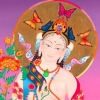 PINK TARA