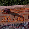 The Felt Field