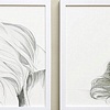 Drawings