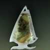 "White Fir"