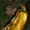 PURSE-ONAL CONTAINERS