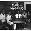 Ratas Del Vaticano - Tiempos De Austeridad