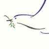 Dove