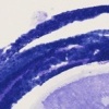 Sound Narrative/purple