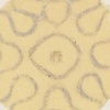Sound Narrative/yellow