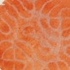 Sound Narrative/orange