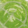 Sound Narrative/green