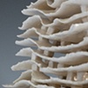 Chain Reaction (detail 3)