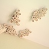 Growth-Residential (detail 3)