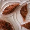 Wild Fiber Autumn (detail I)