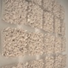 Bloom (detail image)