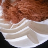 Wild Fiber Autumn (detail II)