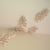 Growth-Residential (detail 2)