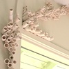 Growth-Residential (detail 1)