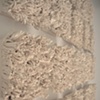 Bloom (detail image 2)