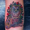 owl