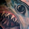 shark tuna 2
