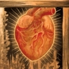 heart in a shed
