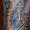 elephant