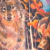 wolf