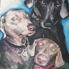 3 Weims