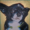 Junie