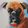 Cooper
