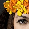 Beauty Shot