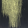 James Smith
Straw