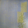Jeanine Coupe Ryding
Branch Blue