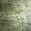 Jeanine Coupe Ryding
Landscape