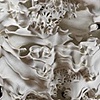 Vanessa L. Smith
Woven Reef Column