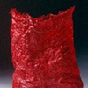 Kiyomi Iwata
Torso Red