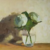 Hydrangeas I