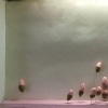 Saccharine Surface 2 (Installation View)