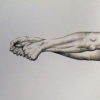 Pull [scale reference]