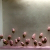 Saccharine Surface 1 (Installation View)