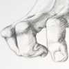 The Space Between (Detail)
