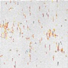 Rebellious Integration Participant:
Kimiko Miyoshi
"Horror Vacui: Cat and Screen"