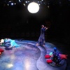 A Midsummer Night's Dream