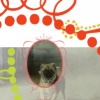 Homage to our Canine Friends