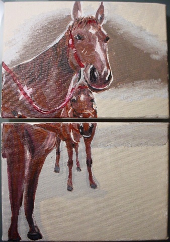 Horses