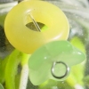 citrus