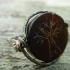 tree of life