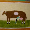 Cow