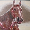 Paintings