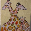 Giraffe Family